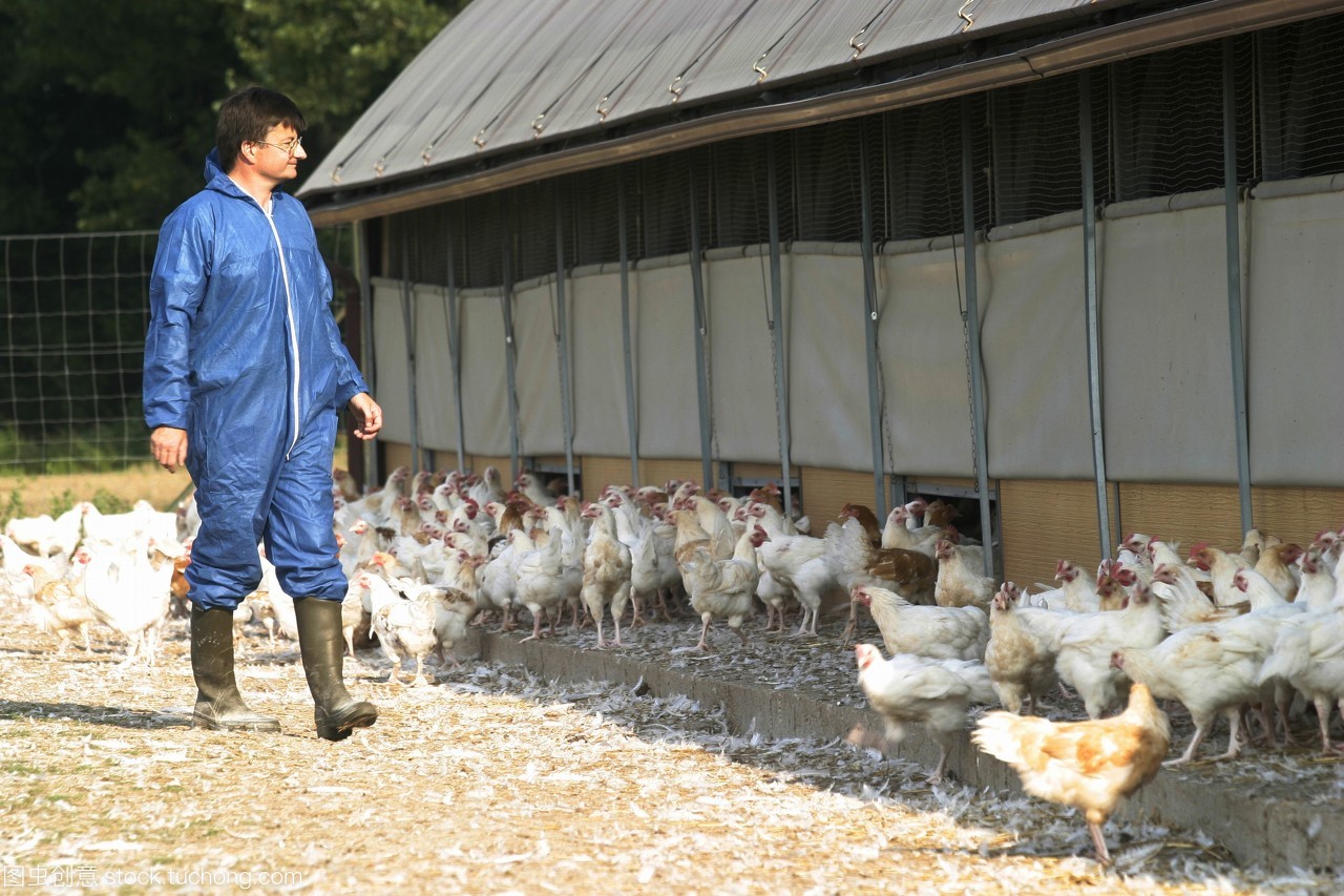 動物飼養員的專業指南 如何做好動物飼養工作